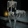 Realistic Poseable Skeleton Halloween Prop