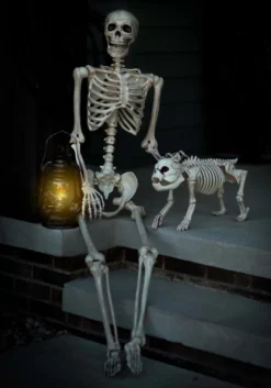 Realistic Poseable Skeleton Halloween Prop