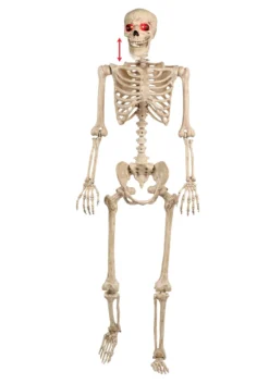 Mr. Crazy Bonez Animated Skeleton Prop -Halloween Decoration Store mr crazy bonez animated skeleton alt 2