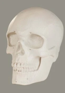 Oversized Color Changing Skull Lantern Decoration -Halloween Decoration Store oversized skull lantern decoration alt 8