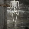 Plastic Realistic Skeleton