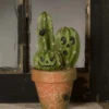 Potted Cacti O' Lantern Decoration