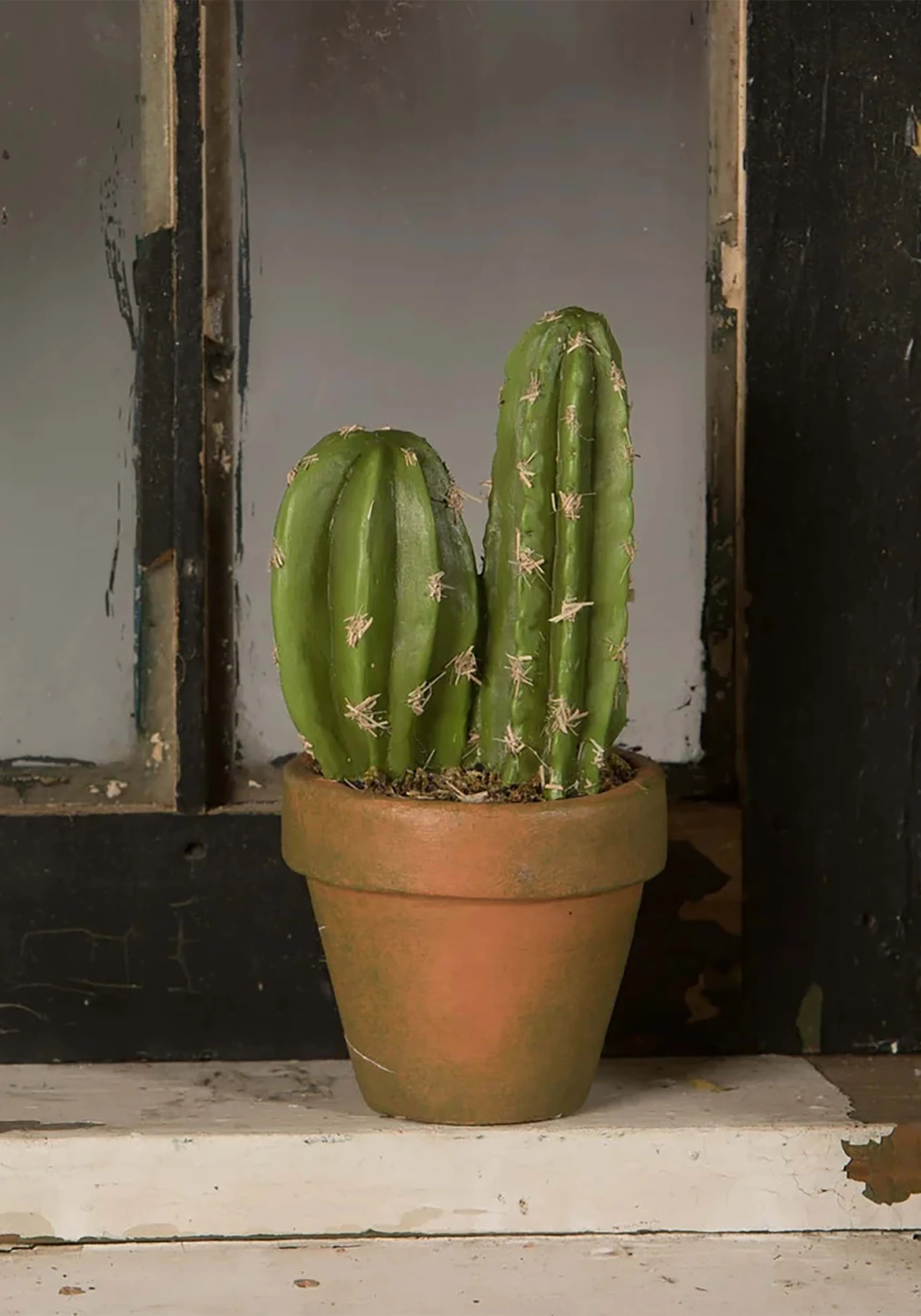 Potted Cacti O' Lantern Decoration 2 Potted Cacti O' Lantern Decoration - Image 2