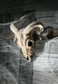 Ram Plastic Skull Prop