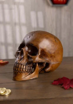 Resin Cranium Prop