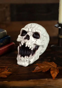 Resin Skull With Sharp Teeth Halloween Decoration