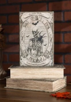 Set Of Three Fright Night 9" Book Boxes Decoration -Halloween Decoration Store set of three 9 fright night book boxes alt 2