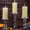 Pack Of 3 Short Glass Candleholders Decoration