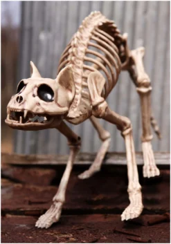 Skeleton Cat Decoration -Halloween Decoration Store skeleton cat alt 3