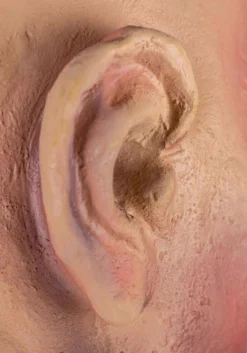 Large Open Eye Cut Off Head -Halloween Decoration Store staring severed head alt 4