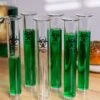 Set Of Six Test Tube Shot Glasses