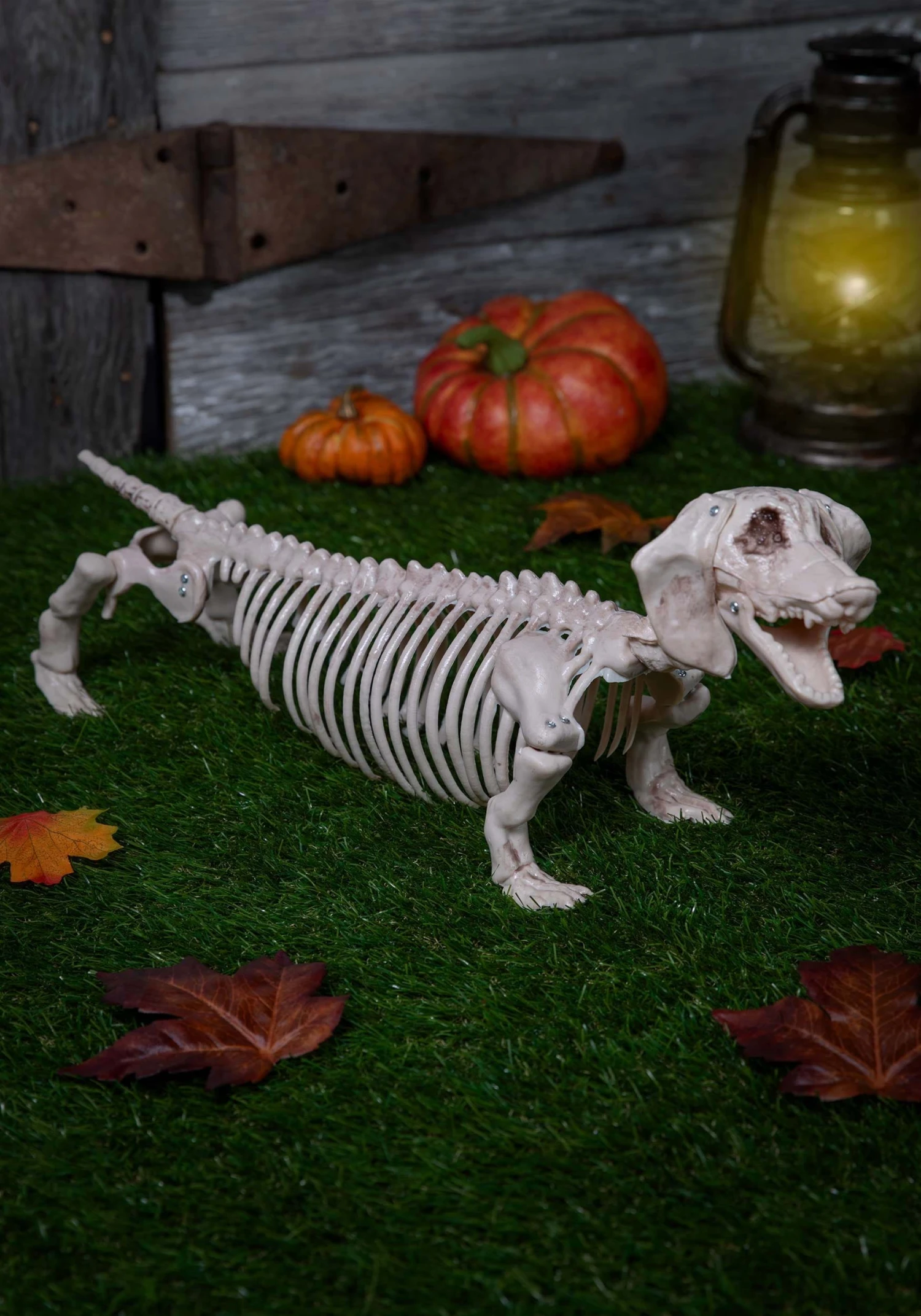 Weiner Dog Skeleton Decoration 1 Weiner Dog Skeleton Decoration