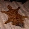 Werewolf Rug With Light And Sound Halloween Decoration