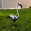 Zombie Flamingo