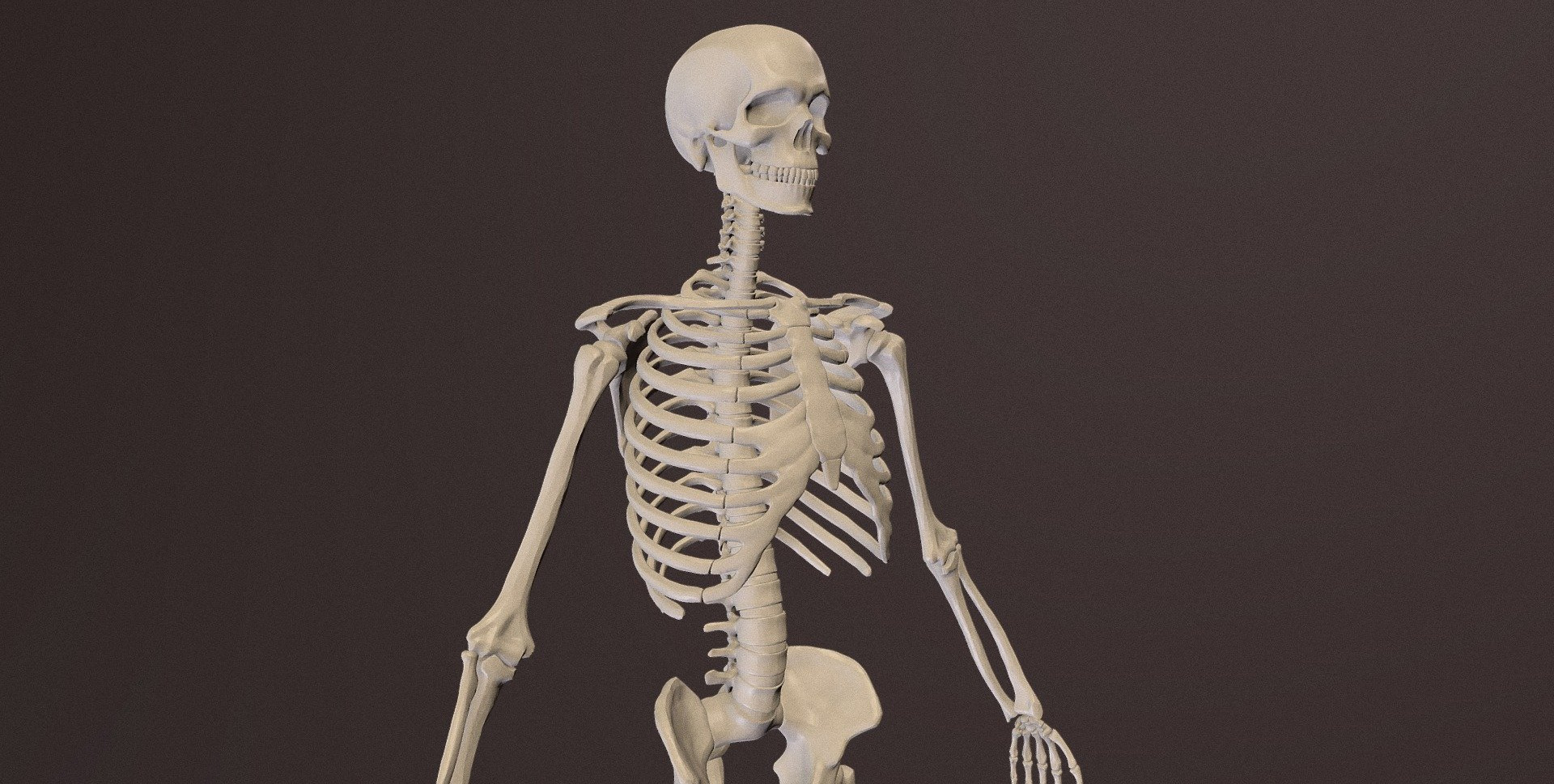 Halloween Decoration Store -Halloween Decoration Store 2